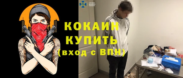 молекула духа Арсеньев