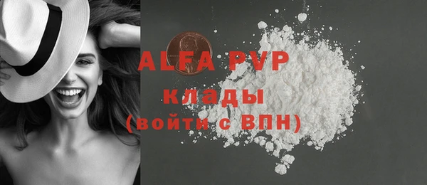 молекула духа Арсеньев