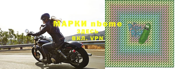 молекула духа Арсеньев
