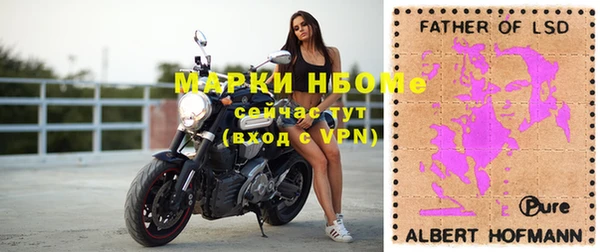 молекула духа Арсеньев