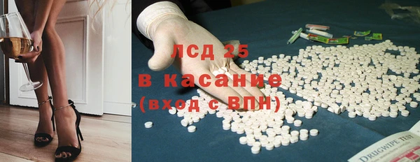 молекула духа Арсеньев