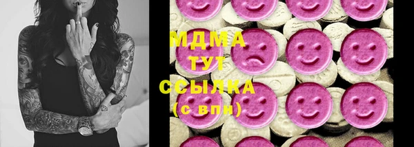 молекула духа Арсеньев