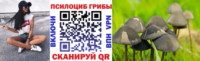 МЕГА онион  Полысаево  Галлюциногенные грибы прущие грибы 